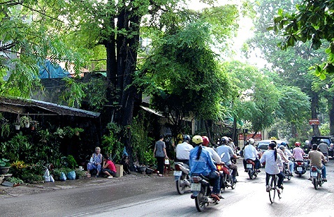 Cua hang qua tet yen sao dac sac tai pho hoang hoa tham